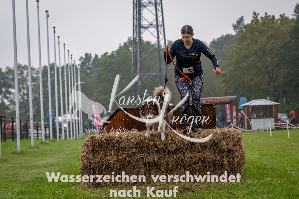 1001--11 | kk-dogfotos