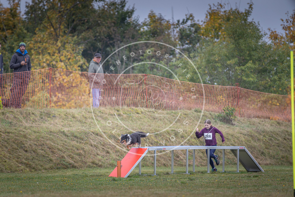 Pfotenfotografie_DV3A0517 | Hundefotografie, Tierfotograf, Pfotenfotografie, Fotoshooting Hund, Hunde Portrait, Hundesport, Hundeportraits, Heideshooting, Hunde, Sportfotograf, Hundefotograf, Turnierhundsport, THS,  - Realisiert mit Pictrs.com