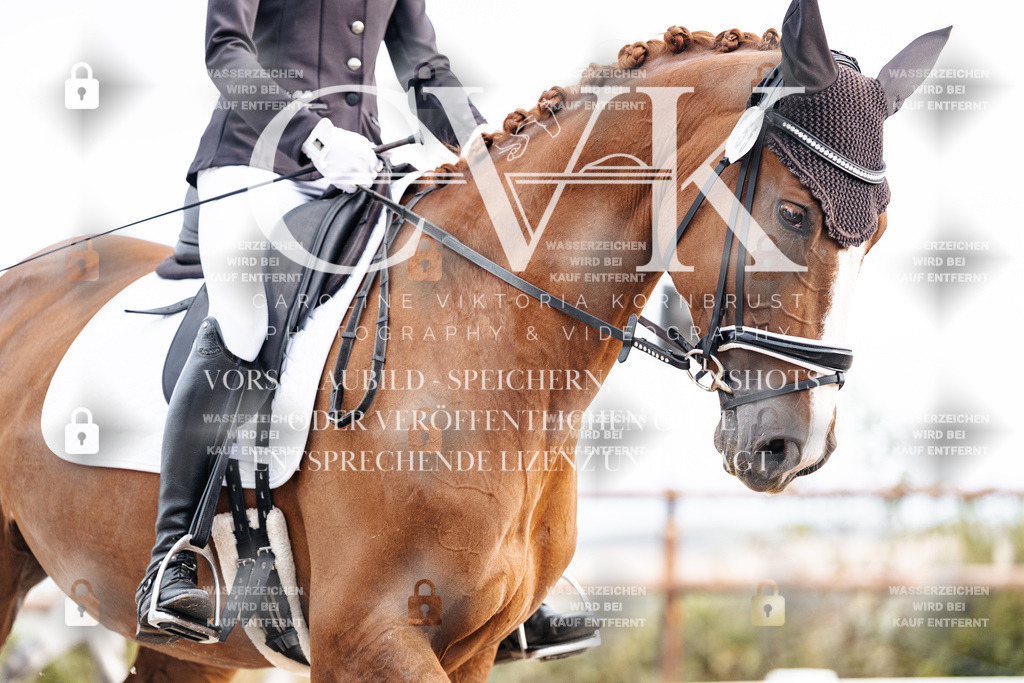 CK900585 | Turnierfotografie Pferdefotografie Trier Rheinland-Pfalz Pferdesport Reitsport Tierfotografie Sportfotografie Pferdevideo Pferdevideografie Equestrianvideography equestrianphotography  - Realisiert mit Pictrs.com