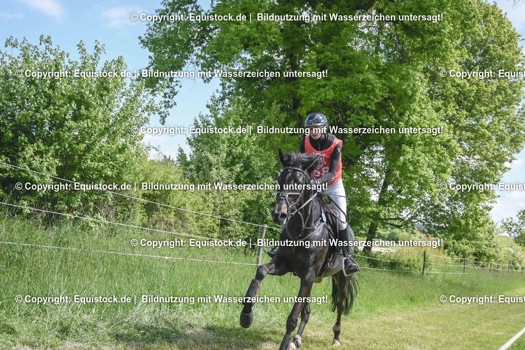 20250517_CCI2_Gelände_1589 | Foto: Thomas Hartig