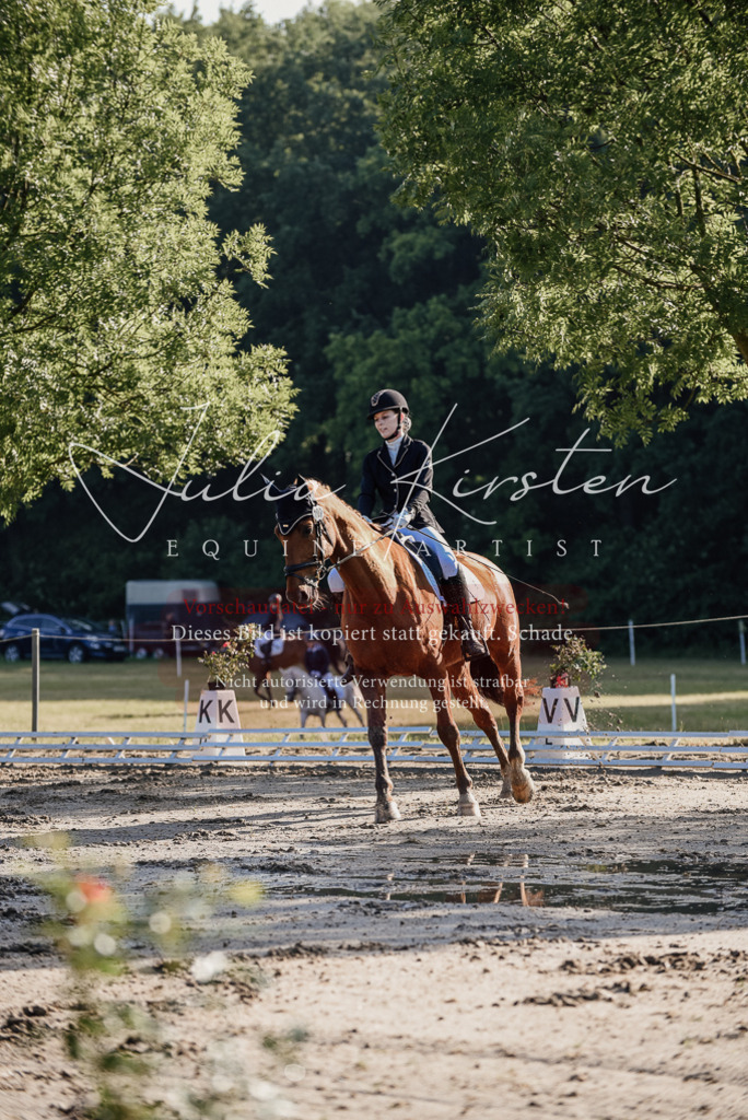 DSC_7710 | Pferde- und Turnierfotografie in Westsachsen. Pferdeportraits, Auftragszeichnungen und intuitive Kunst.