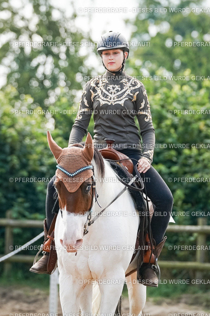 DSC04719 | Pferdegrafie