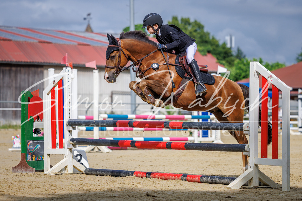 20260705-_3LI3933 | Tierfotografie Pferde, Hunde, Katzen, Haustiere.
Turnierfotografie Reitturniere, Reiten, Springreiten, Dressur in Hanau, dem Main-Kinzig-Kreis und dem Rhein-Main- Gebiet um Frankfurt