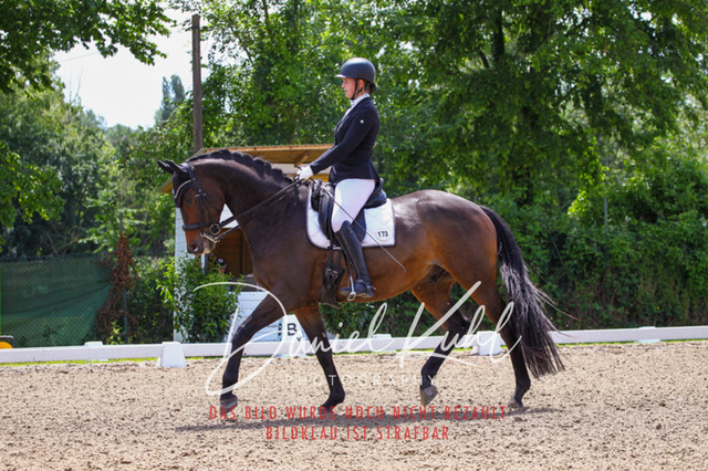 DKP40999 | Turnierfotos kaufen im Webshop von Daniel Kuhl Photography – entdecke professionelle Reitsportfotos aus Turnieren & Events. Hochwertige Turnierbilder online bestellen & sichern. Jetzt Fotos von Reitsportturnieren kaufen!