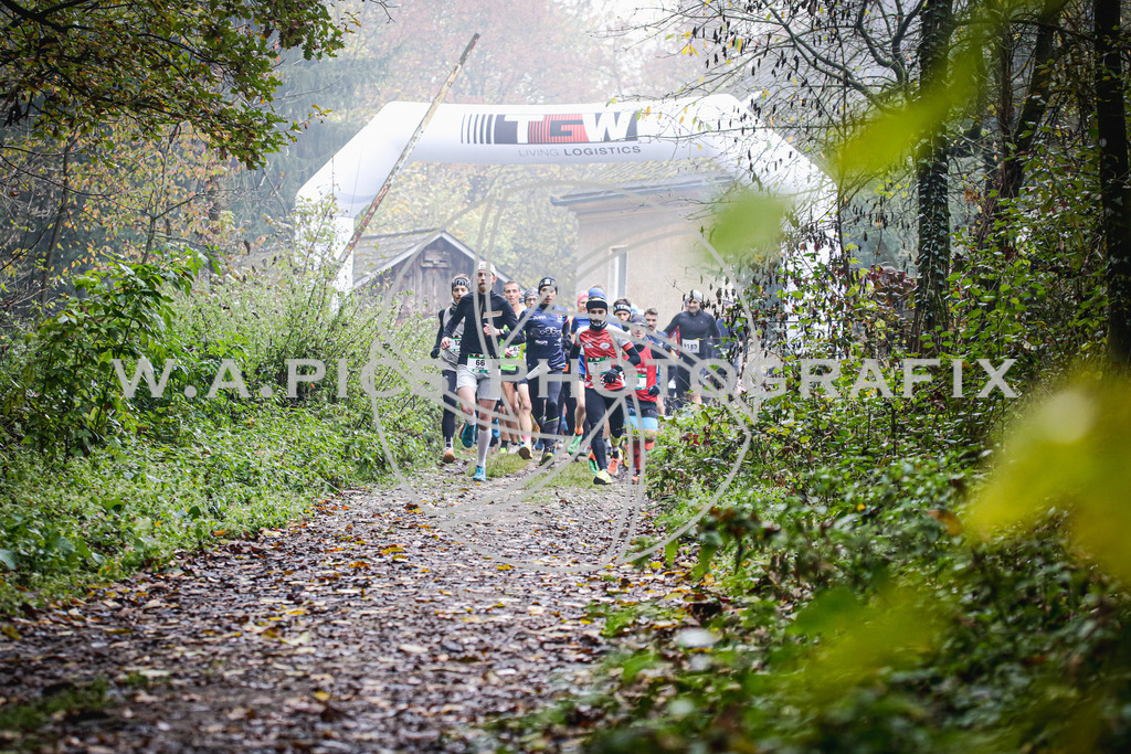..... | AUSTRIA, 09.11.24, Leonding,TGW KÜRNBERGTRAILRUN, Image shows: Photo: Wapics / Andreas Willdoner