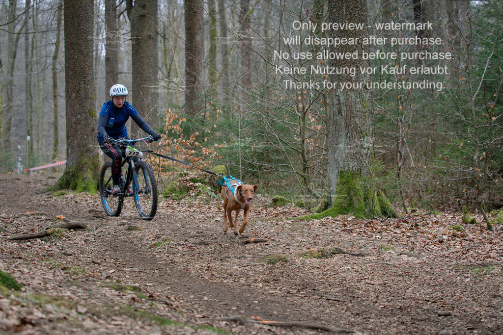 Bike_So-183 | stephaniefillaphotographie - Realisiert mit Pictrs.com