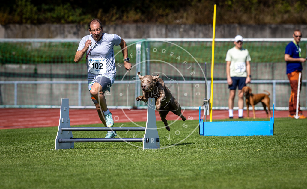 Pfotenfotografie_DV3A8038 | Hundefotografie, Tierfotograf, Pfotenfotografie, Fotoshooting Hund, Hunde Portrait, Hundesport, Hundeportraits, Heideshooting, Hunde, Sportfotograf, Hundefotograf, Turnierhundsport, THS,  - Realisiert mit Pictrs.com