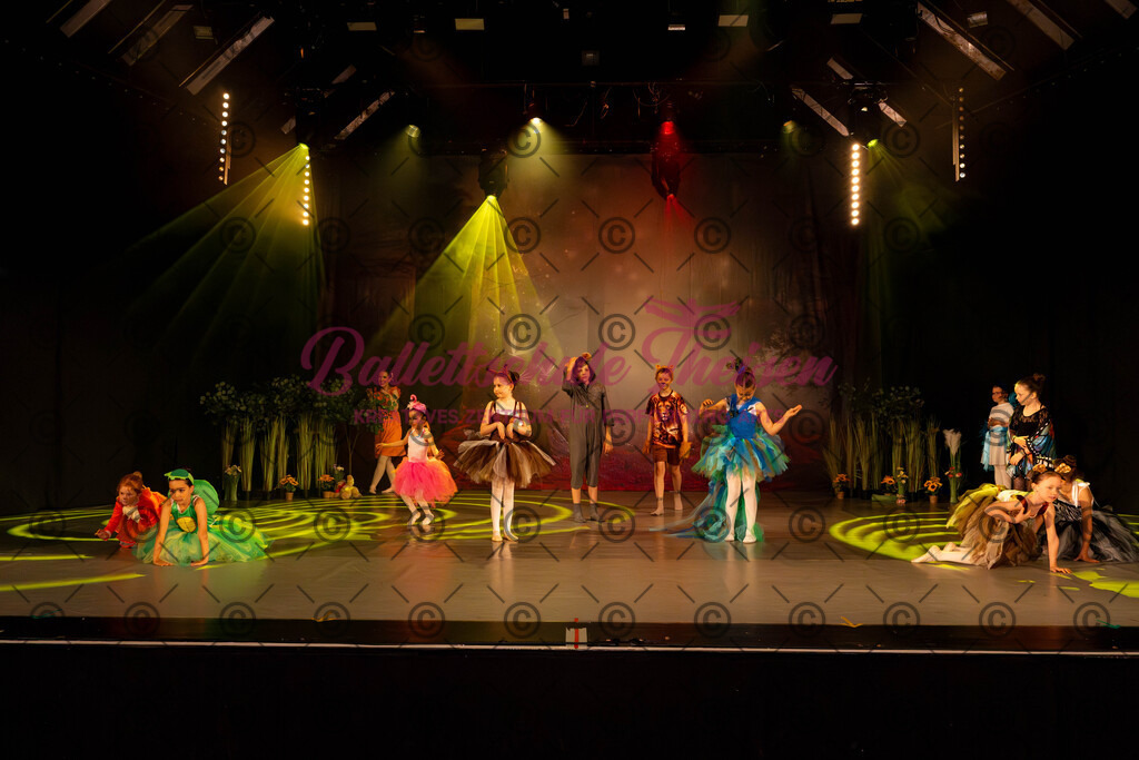 Ballettaufführung-441 | Bildershop Lem'n Entertainment - Realisiert mit Pictrs.com