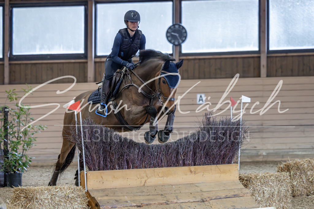 20260221-_3LI9144 | Tierfotografie Pferde, Hunde, Katzen, Haustiere.
Turnierfotografie Reitturniere, Reiten, Springreiten, Dressur in Hanau, dem Main-Kinzig-Kreis und dem Rhein-Main- Gebiet um Frankfurt