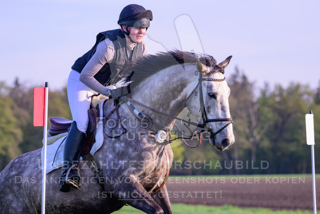 18042026-Gernlinden-02-0066 | Fokus Hufschlag Fotografie - Realisiert mit Pictrs.com