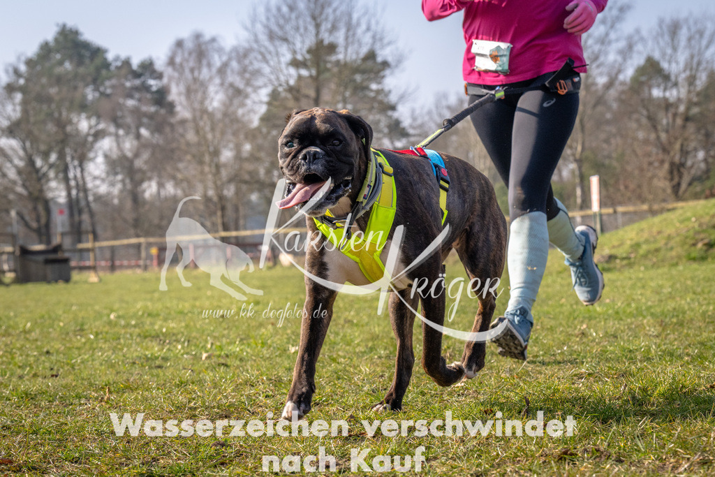 _ZZ93500 | kk-dogfotos