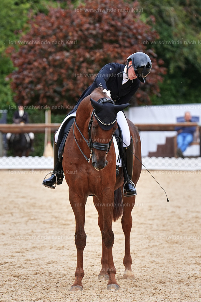 11-141-Dressur S___-Marixx-1859 | working equitationturnier fotograf videograf stoibphotography marixx film working equitation deutschland reitsport turnierfotografie eventfotografie equestrian events