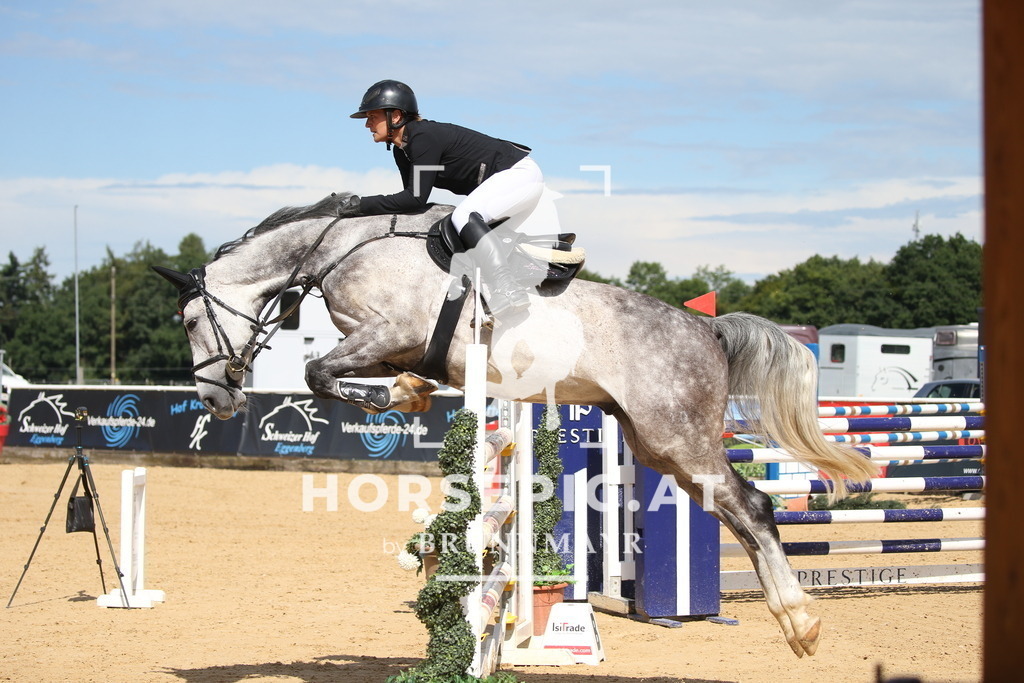 DL2Q3215 | Willkommen bei Brunnmayr - Design & Fotografie – Ihrem Spezialisten für Reitturniere und Pferdeveranstaltungen in Oberösterreich, Salzburg und Bayern! Seit über 17 Jahren sind wir leidenschaftlich dabei.