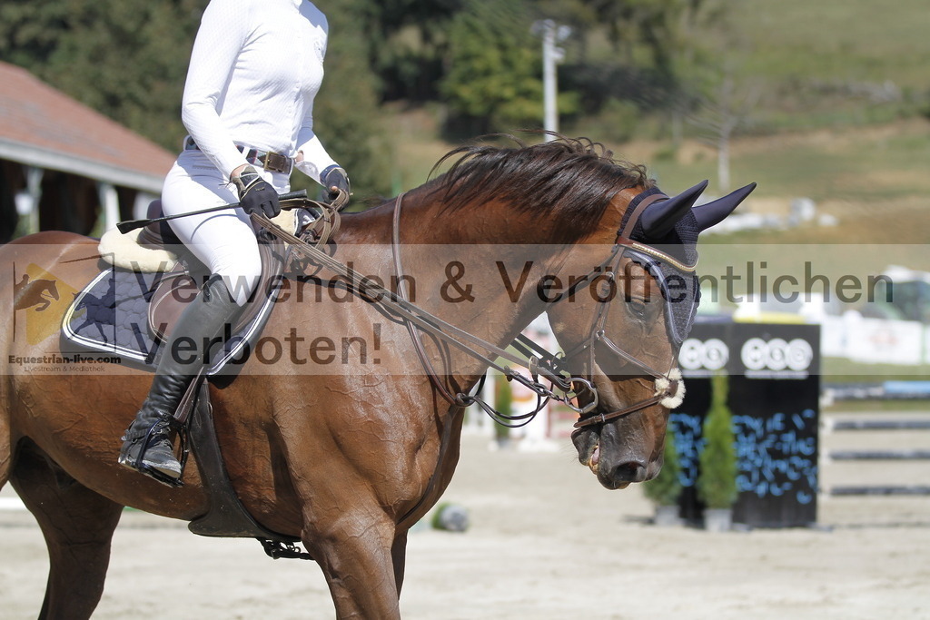 _MG_8332 | equestrian-live-com