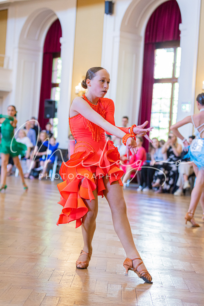 MainzPalaceOpen-429 | milagro-photography