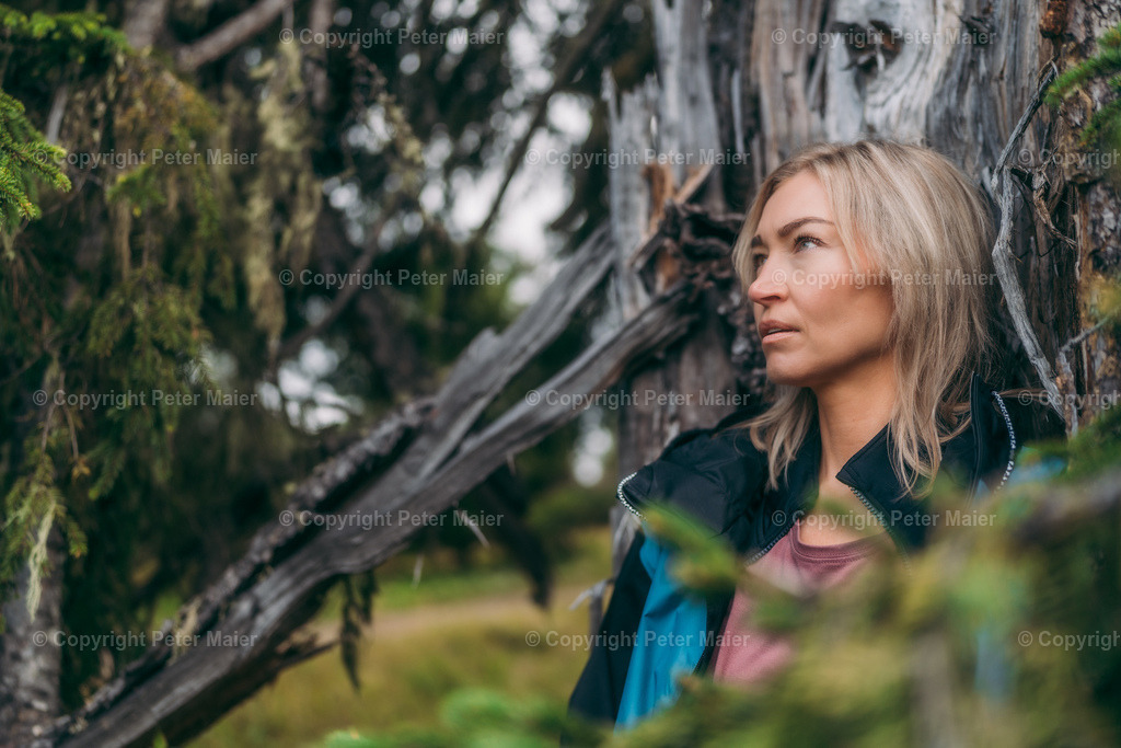 Roana_Alm_Erlebnisraum_Wald_23_Peter_Maier-507 | piet_flosse