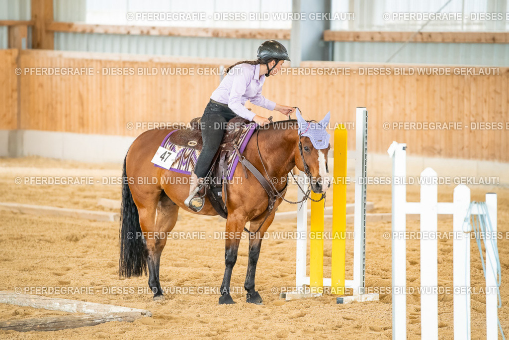 DSC07125 | Pferdegrafie