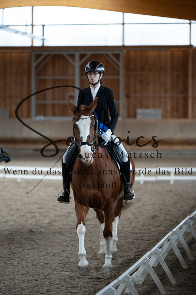 A7V09830 | Pferdefotograf