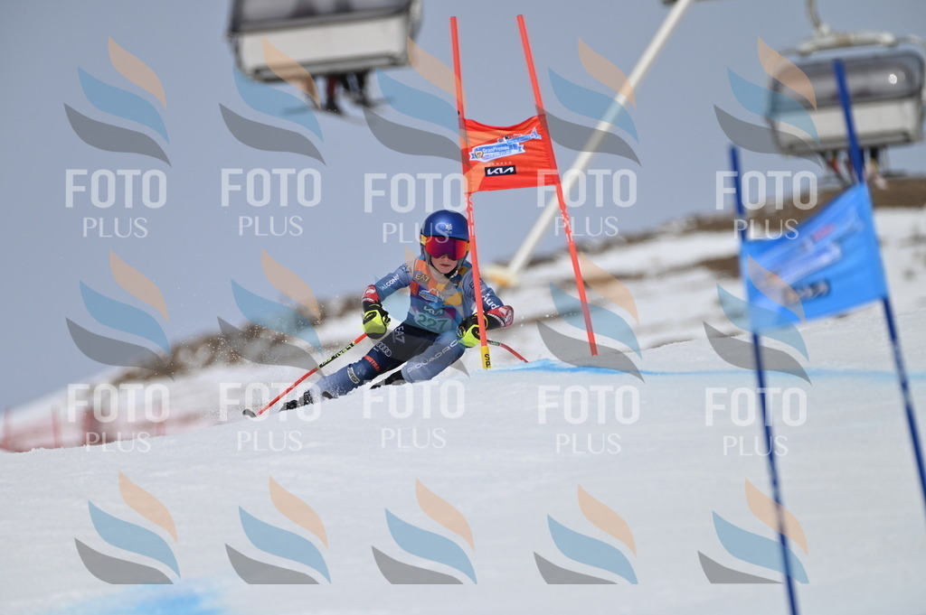 BGV_4472 | holidayphoto