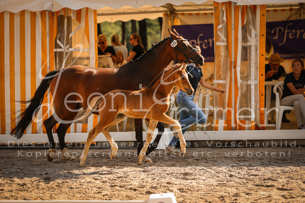 11.DoRP00174 | Leoni Ertmer Photography - Realisiert mit Pictrs.com