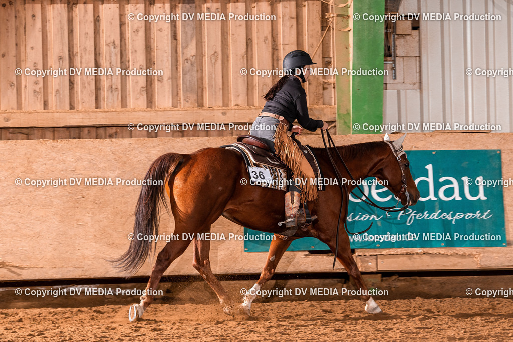 Balingen Tag 2-1413 | dv-media-shop - Realisiert mit Pictrs.com