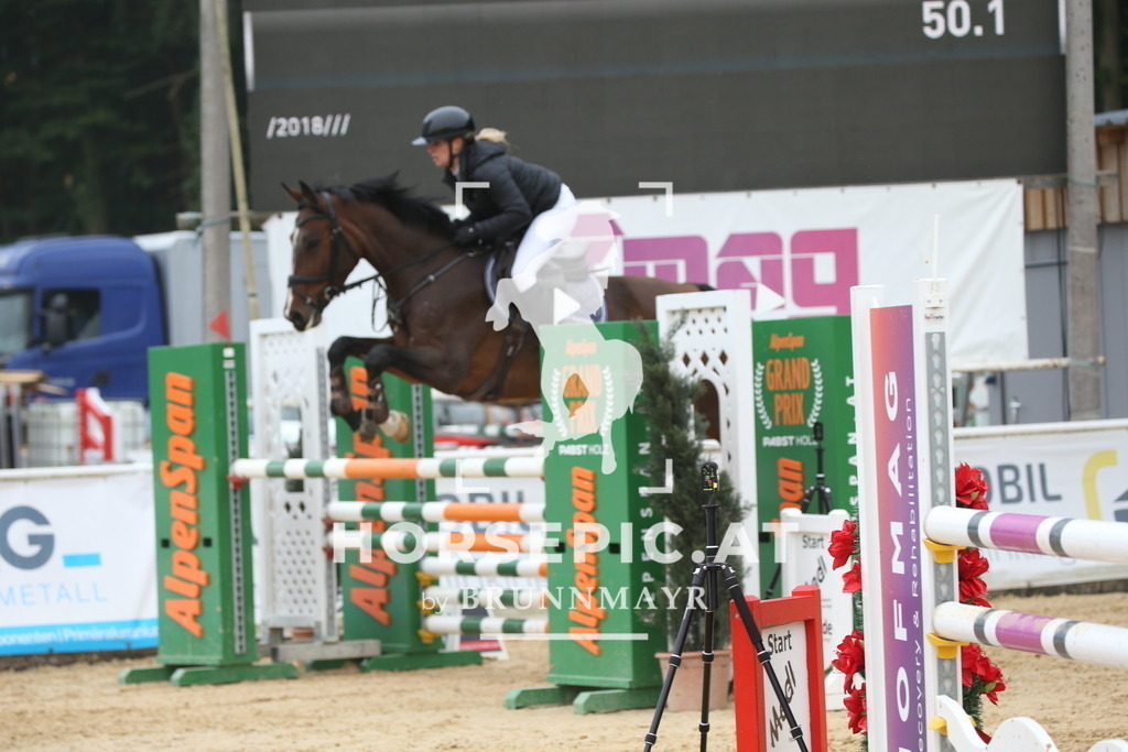 DL2Q3781 | Willkommen bei Brunnmayr - Design & Fotografie – Ihrem Spezialisten für Reitturniere und Pferdeveranstaltungen in Oberösterreich, Salzburg und Bayern! Seit über 17 Jahren sind wir leidenschaftlich dabei.