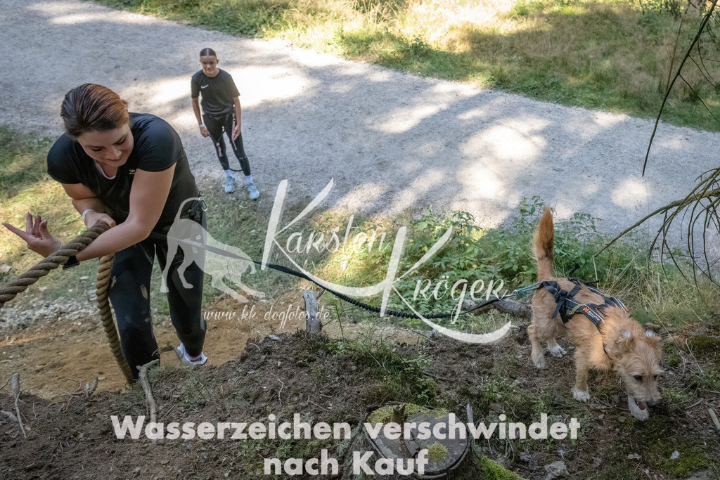 1221_ZZ94105 | kk-dogfotos