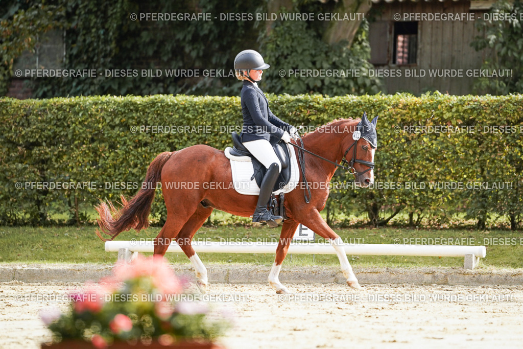 DSC04100 | Pferdegrafie