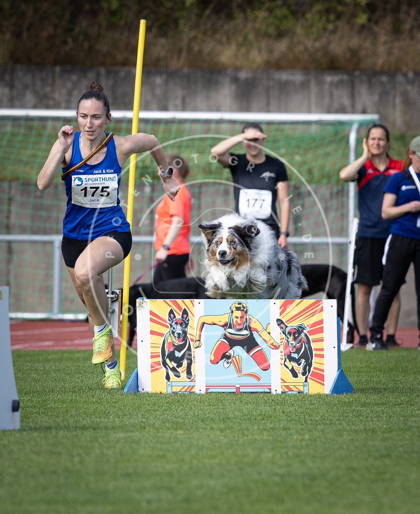 Pfotenfotografie_DV3A0087 | Hundefotografie, Tierfotograf, Pfotenfotografie, Fotoshooting Hund, Hunde Portrait, Hundesport, Hundeportraits, Heideshooting, Hunde, Sportfotograf, Hundefotograf, Turnierhundsport, THS,  - Realisiert mit Pictrs.com
