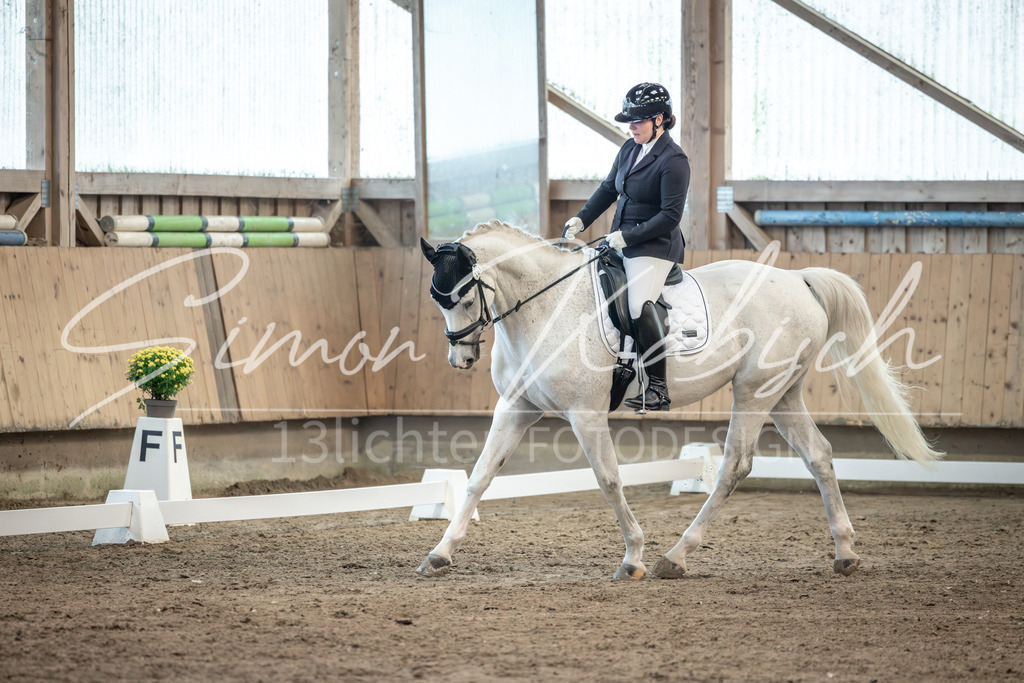 20251011-_3LI6181 | Tierfotografie Pferde, Hunde, Katzen, Haustiere.
Turnierfotografie Reitturniere, Reiten, Springreiten, Dressur in Hanau, dem Main-Kinzig-Kreis und dem Rhein-Main- Gebiet um Frankfurt