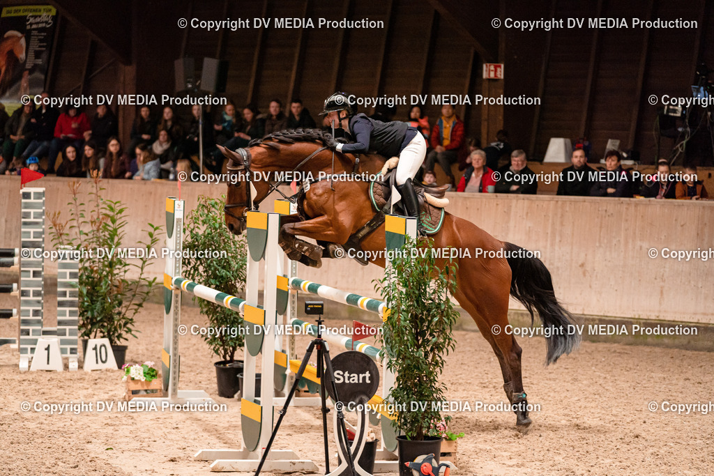 Springen Tag 2-611 | dv-media-shop - Realisiert mit Pictrs.com