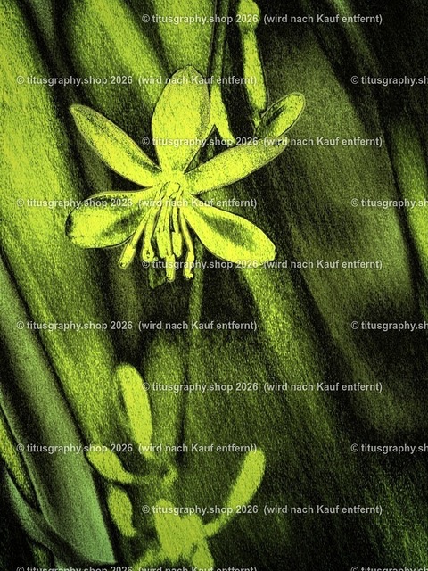 titusgraphy_PA151278-vz-ln_pe_pe-02 | titusgraphy-shop: Geschenkideen mit Qualitätsfotos. titusgraphy-shop: gift ideas with quality photos. titusgraphy-shop: idées cadeaux avec photos de qualité.  - Realisiert mit Pictrs.com