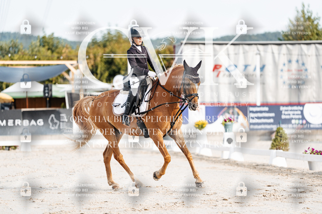 CK903682 | Turnierfotografie Pferdefotografie Trier Rheinland-Pfalz Pferdesport Reitsport Tierfotografie Sportfotografie Pferdevideo Pferdevideografie Equestrianvideography equestrianphotography  - Realisiert mit Pictrs.com