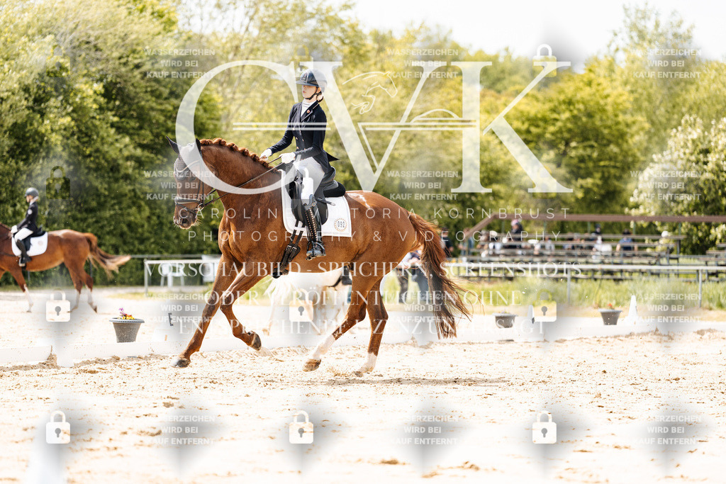 CK902087 | Turnierfotografie Pferdefotografie Trier Rheinland-Pfalz Pferdesport Reitsport Tierfotografie Sportfotografie Pferdevideo Pferdevideografie Equestrianvideography equestrianphotography  - Realisiert mit Pictrs.com