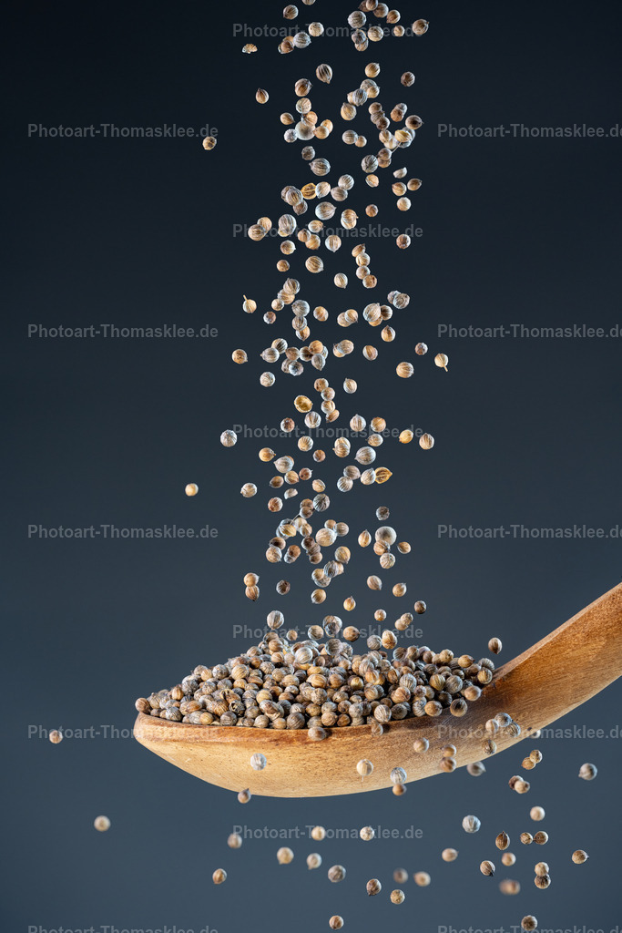 Korianderkörner – Würziges Aroma für kreative Küchenideen | Eine dynamische Makroaufnahme zeigt ganzen Koriander die in einem feinen Strahl aus der Bildmitte herabfallen und sich in einem naturbelassenen, hellen Holzlöffel sammeln. Jedes Samenkorn ist gestochen scharf eingefangen: Man erkennt die zarte Längsrippung und das weich gerundete Profil der Samen, die im Fallen kleine Lücken und Flugkurven zeichnen.TechnikHigh-Speed-Fotografie: Kurze Verschlusszeit friert die Bewegung der fallenden Samen exakt ein.Makro-Objektiv &amp; geringe Tiefenschärfe: Nur der Bereich mit den fallenden Samen und dem Löffel ist scharf, während Vorder- und Hintergrund ins weiche Bokeh übergehen.Diffuses, weiches Licht: Betont die Struktur und sanften Farbunterschiede der Samen, ohne harte Schatten zu erzeugen.FarbenWarme Beigetöne der Koriandersamen (von hellem Ocker bis zu mittlerem Sandbraun)Honig- bis Walnussnuancen im HolzlöffelKühles Mittelgrau im Hintergrund für klaren, modernen KontrastEmpfohlene Orte zum AufhängenKüche oder Essbereich – als inspirierendes Gewürzmotiv, das die Lust am Kochen weckt.Feinkost- oder Gewürzfachgeschäft – um die Qualität und Natürlichkeit angebotener Zutaten zu betonen.Gourmet-Restaurant oder Bistro – ideal über der Zubereitungsstation oder Bar, um eine elegante, Genuss-Atmosphäre zu schaffen. - Realisiert mit Pictrs.com