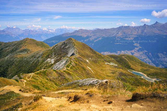 Valis | Fotografie Photography Dresden Photoshooting  Fotoshooting Fotografin Dresdencity Bilder  Foto Dresdenvideos Kalender Postkarten Bilderdownload Portrait Hochzeitsfotografie Familienfotos Bewerbungsbilder Studiofotografie Fotograf Dresdenbilder Business - Realisiert mit Pictrs.com