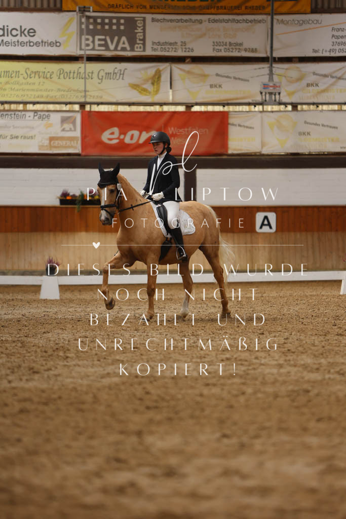 IMGM5350 | pl-fotografie