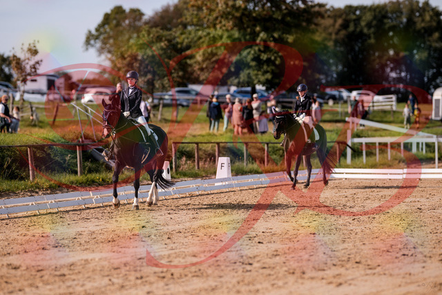 2026_10_03_Siefer-Hof_121326_Z81_13413482 | Professionelle Reitsport-, Turnier- und Eventfotografie von Robert Broda. Galerien mit ausgewählten und bearbeiteten Bildern direkt online ansehen und bestellen.