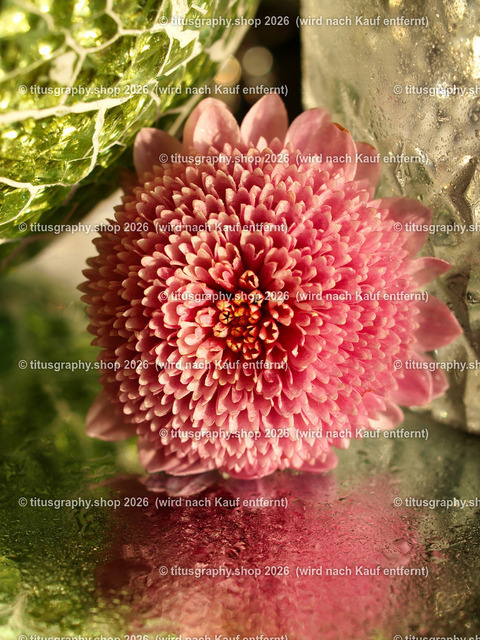 titusgraphy_PB251215-vz-ln | titusgraphy-shop: Geschenkideen mit Qualitätsfotos. titusgraphy-shop: gift ideas with quality photos. titusgraphy-shop: idées cadeaux avec photos de qualité.  - Realisiert mit Pictrs.com