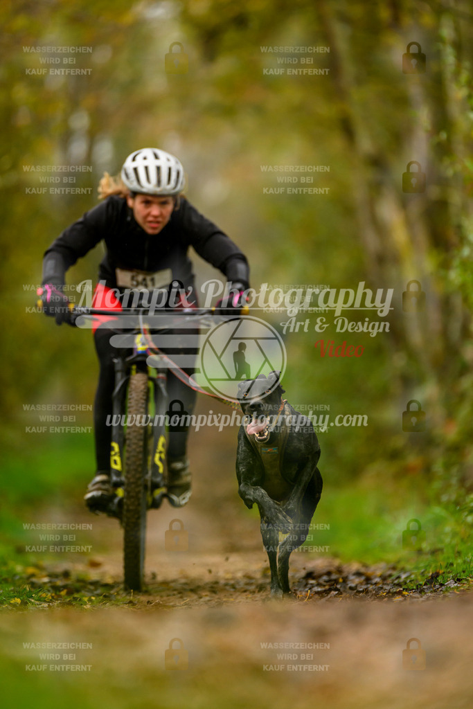 MompixPhotography_20TSB_E6_Bike-75 | PayLife