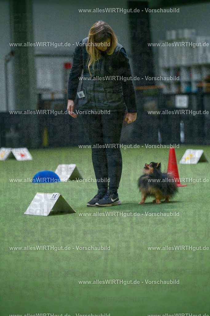 7R503558 | Professionelle Tierfotografie in Mönchengladbach von Daniel Wirth (allesWIRTHgut). Liebevolle & natürliche Bilder von Hunden & Katzen für unvergessliche Erinnerungen.