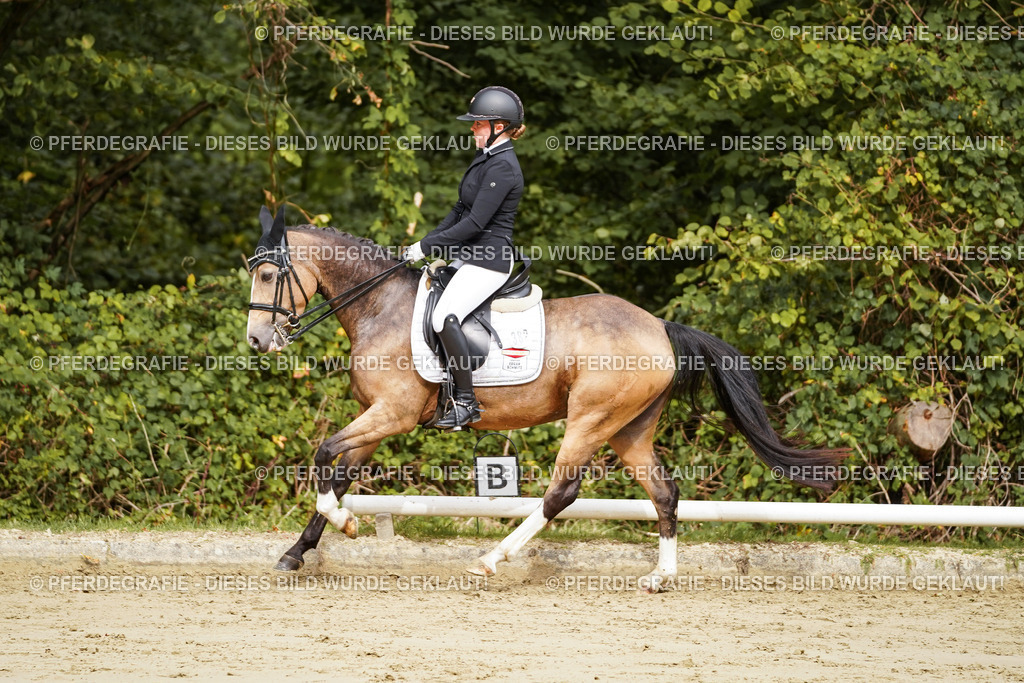 DSC02742 | Pferdegrafie