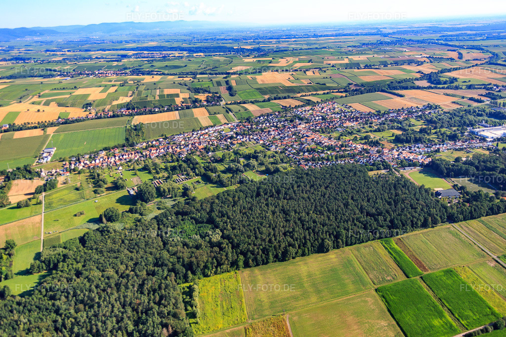 Luftbild: Ortsansicht von Süden im Ortsteil Schaidt in Wörth im Bundesland Rheinland-Pfalz in Deutschland. Foto: IMG_092552.jpg vom 01.08.2016 durch Werner Riehm/FLY-FOTO.de