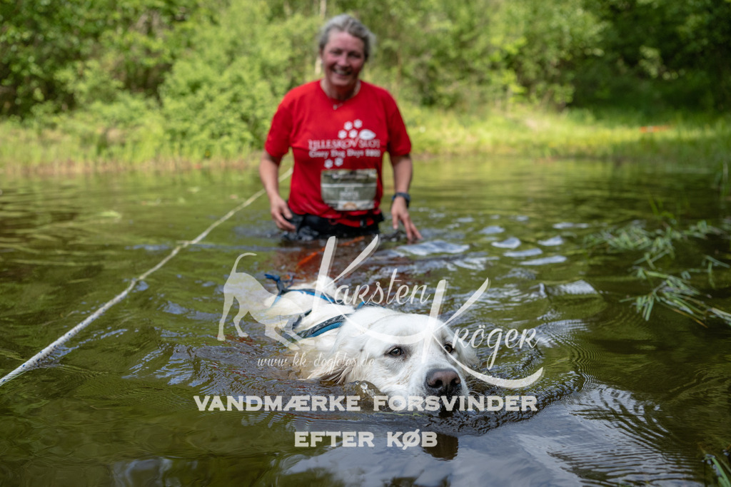 1015DKK990540 | kk-dogfotos