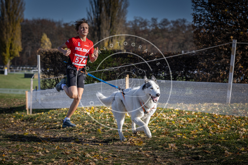 CaniXpix_DV3A8934 | Hundefotografie, Tierfotograf, Pfotenfotografie, Fotoshooting Hund, Hunde Portrait, Hundesport, Hundeportraits, Heideshooting, Hunde, Sportfotograf, Hundefotograf, Turnierhundsport, THS,  - Realisiert mit Pictrs.com