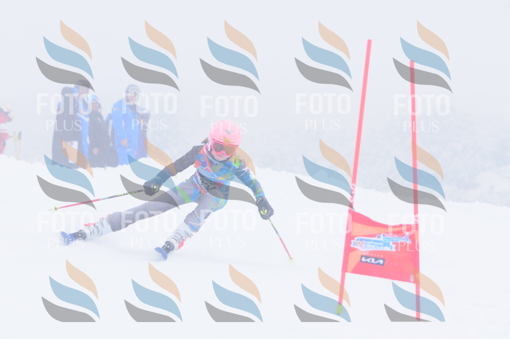 C3576 | holidayphoto