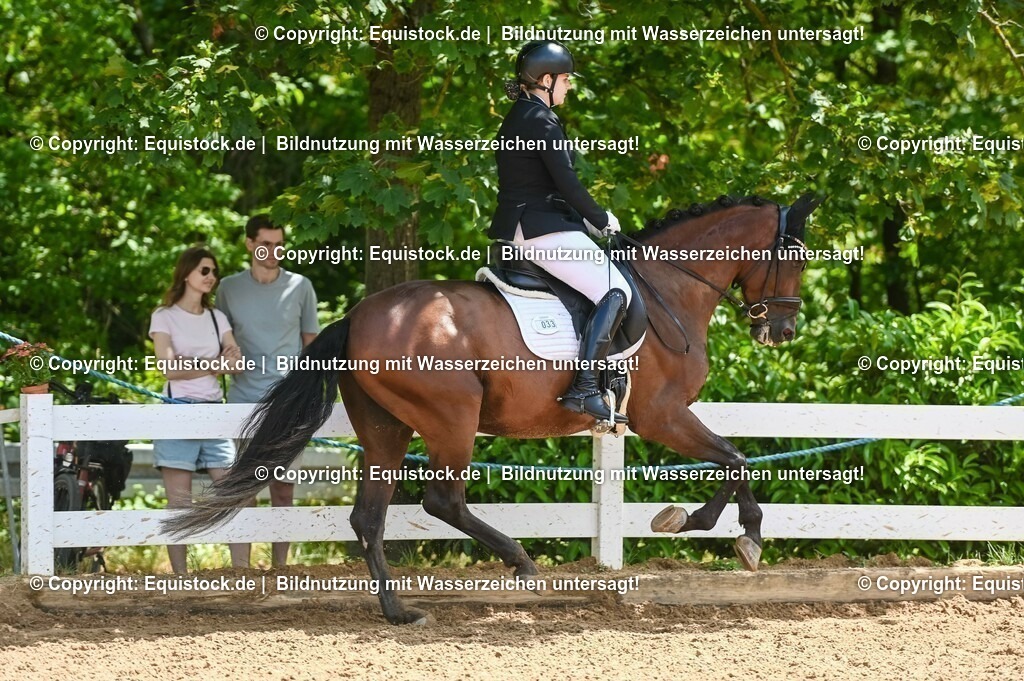 20230716_03_Dressurprfg. Kl.L - Tr._0124 | equistock