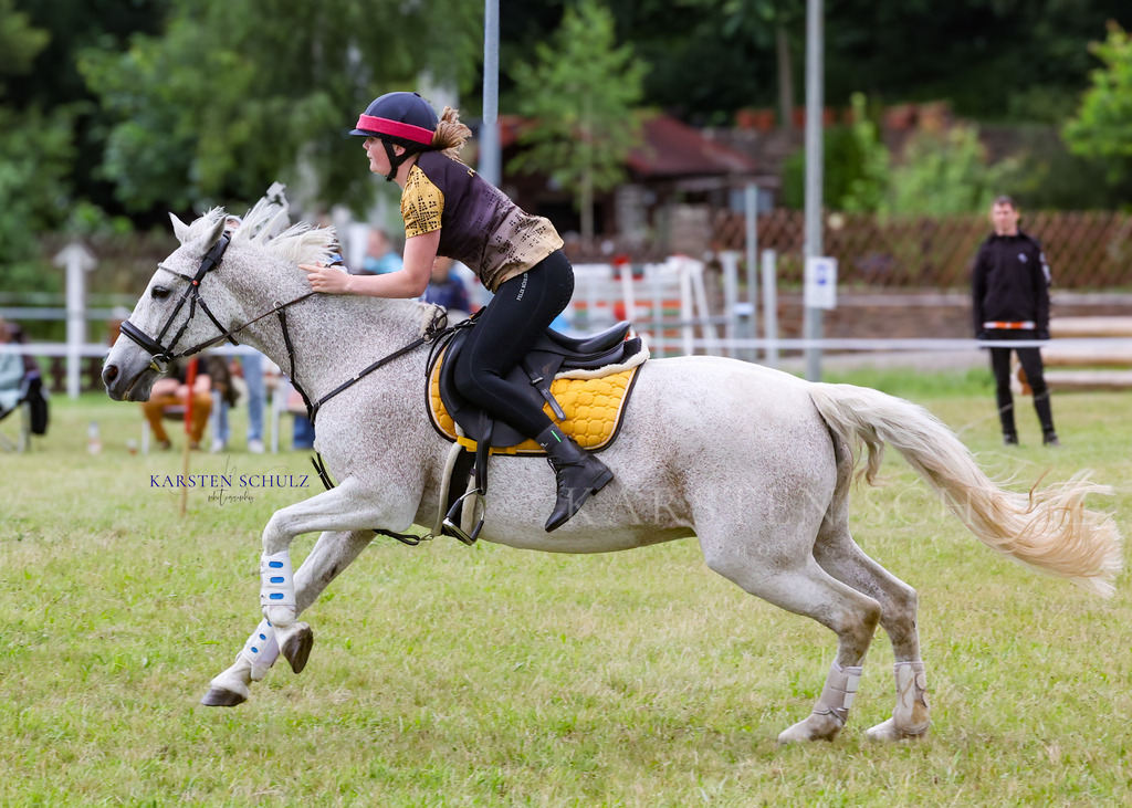 1B3A0899 | Reitsport Reiten