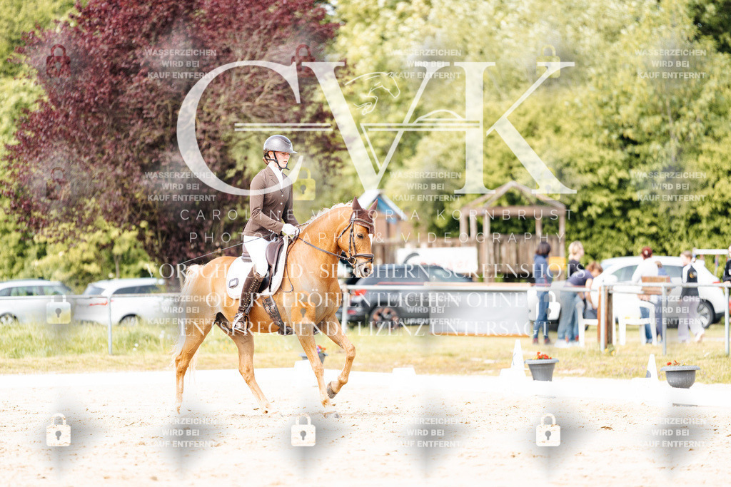 CK901418 | Turnierfotografie Pferdefotografie Trier Rheinland-Pfalz Pferdesport Reitsport Tierfotografie Sportfotografie Pferdevideo Pferdevideografie Equestrianvideography equestrianphotography  - Realisiert mit Pictrs.com