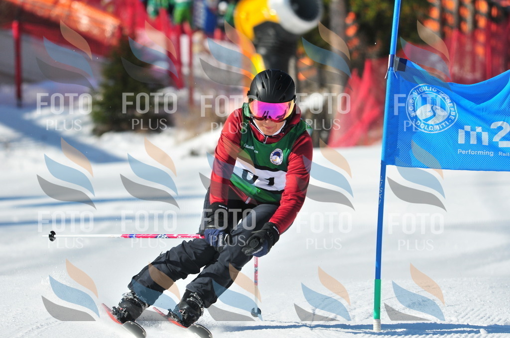 C2305 | holidayphoto